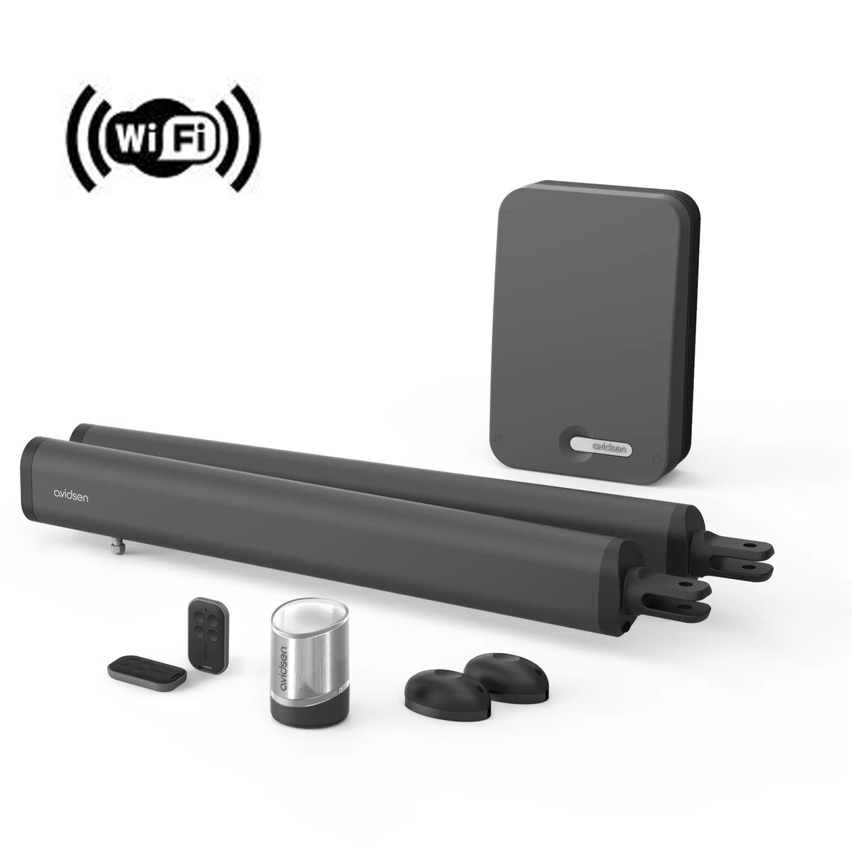 Avidsen Kit automazione per cancelli a 2 battenti 24V connessa Teha Connect Wi-Fi - 114174