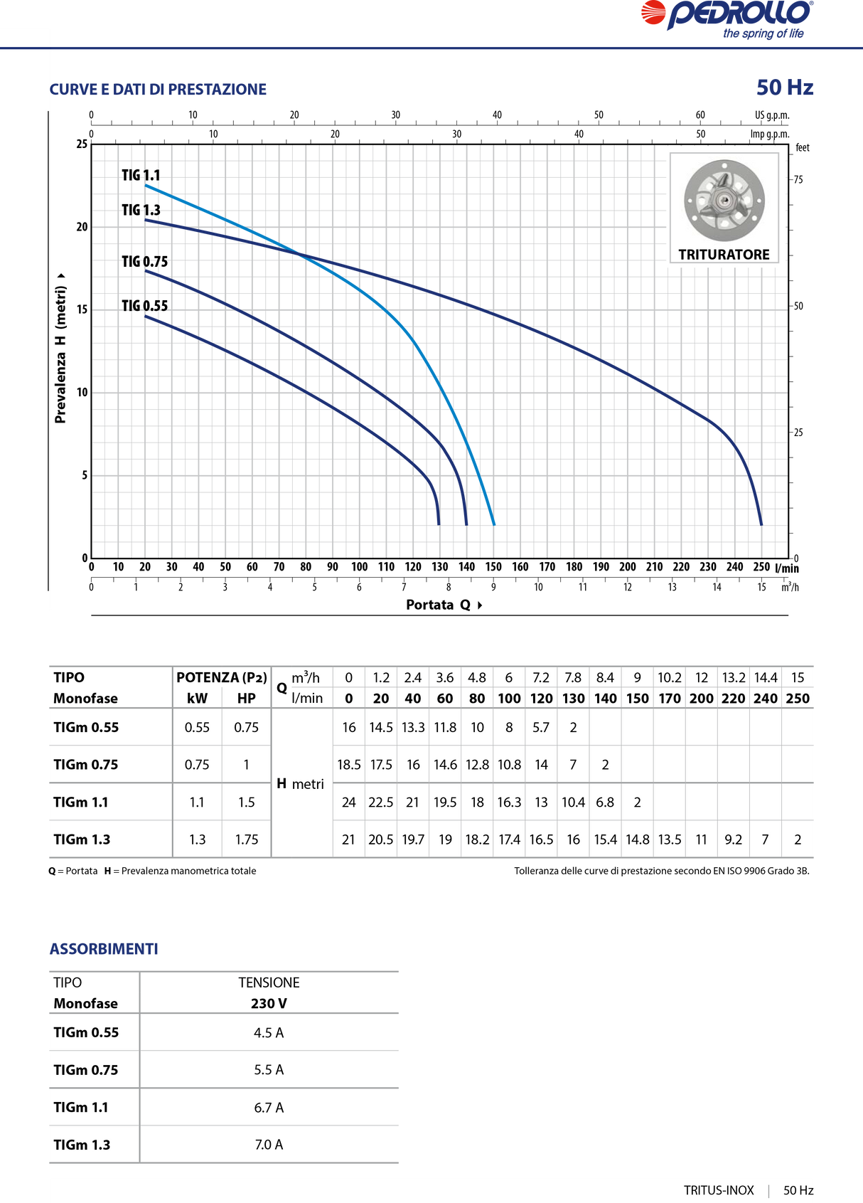 Pedrollo  Elettropompa sommergibile con trituratore per drenaggio pozzi neri e liquami TRITUS-Inox TIGm 1.1 - 1,5HP