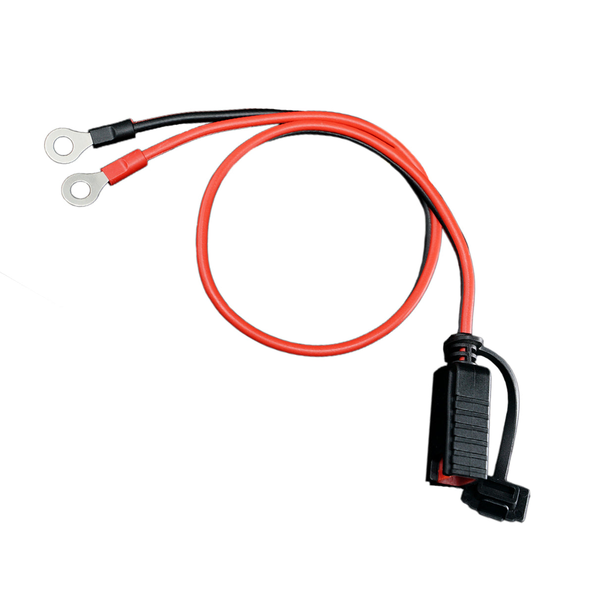 Alcapower Cavo con occhielli per caricabatterie SX