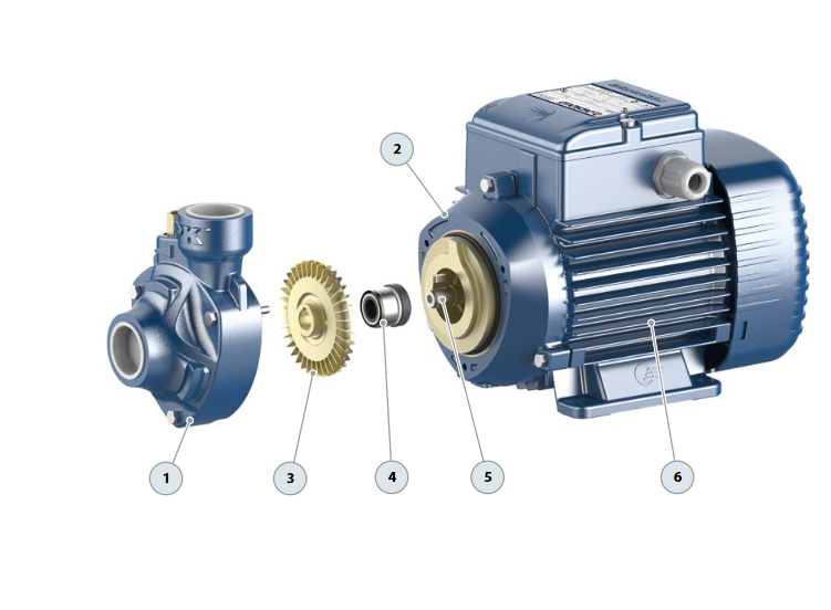 PEDROLLO - Elettropompa Periferica PKm 65 | 0,75 HP | Monofase | Autoclave e Irrigazione | Ghisa