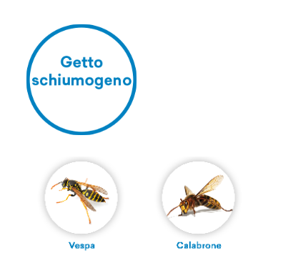 VEBI - Duracid Vespe e Calabroni | Insetticida Aerosol 750ml | Getto 4 Metri | Doppia Azione Abbattente + Residuale