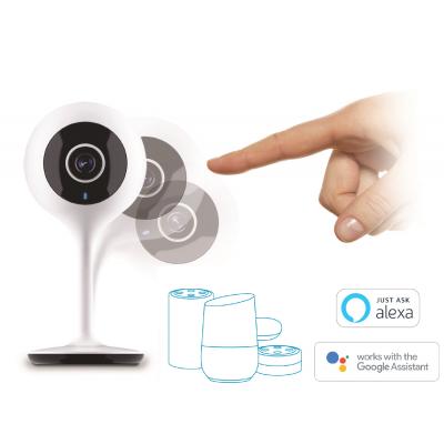 Telecamera IP WIFI con supporto flessibile per interni 1080P
