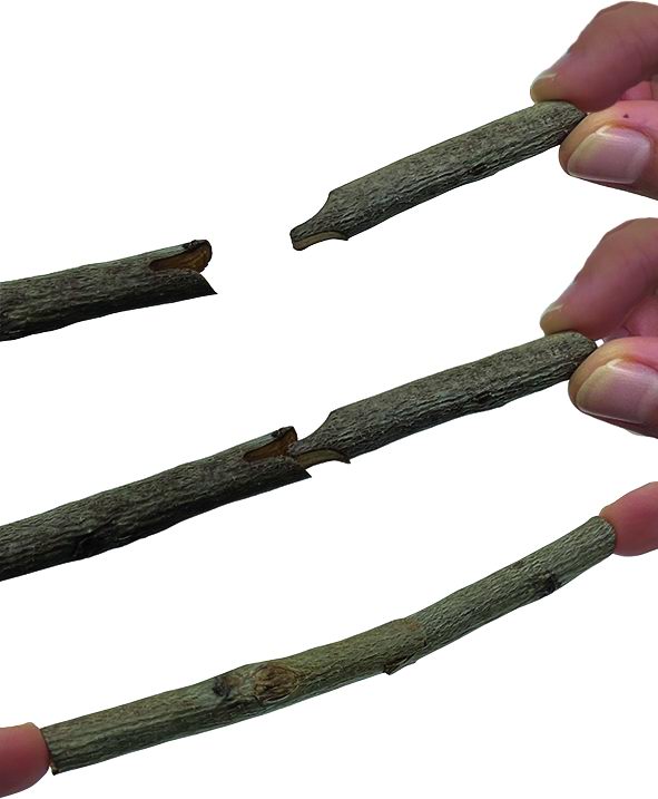 Schere für 12-mm-Transplantate – Sandri Garden SG-FI12