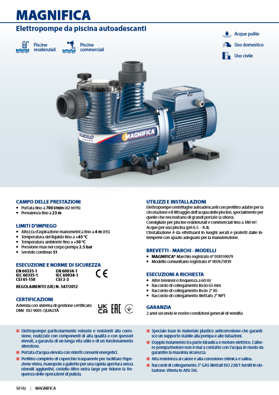 Electric pump for pools MAGNIFICA 1m Pedrollo