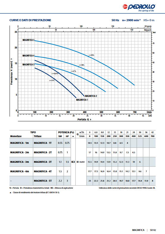 Electric pump for pools MAGNIFICA 1m Pedrollo