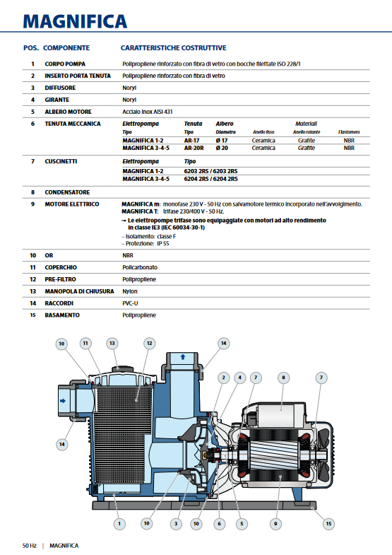 Electric pump for pools MAGNIFICA 1m Pedrollo