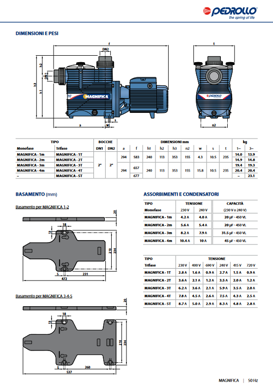 Electric pump for pools MAGNIFICA 1m Pedrollo