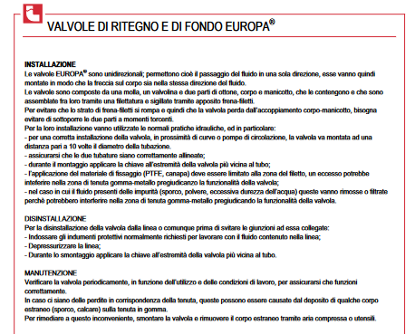 Valvola di ritegno in ottone 1" 1/4 (DN 32) EUROPA® ITAP