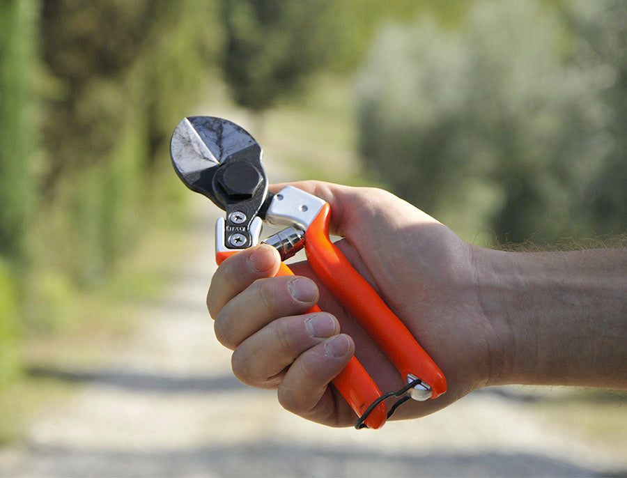 B12 - CASTELLARI double blade professional pruning shears