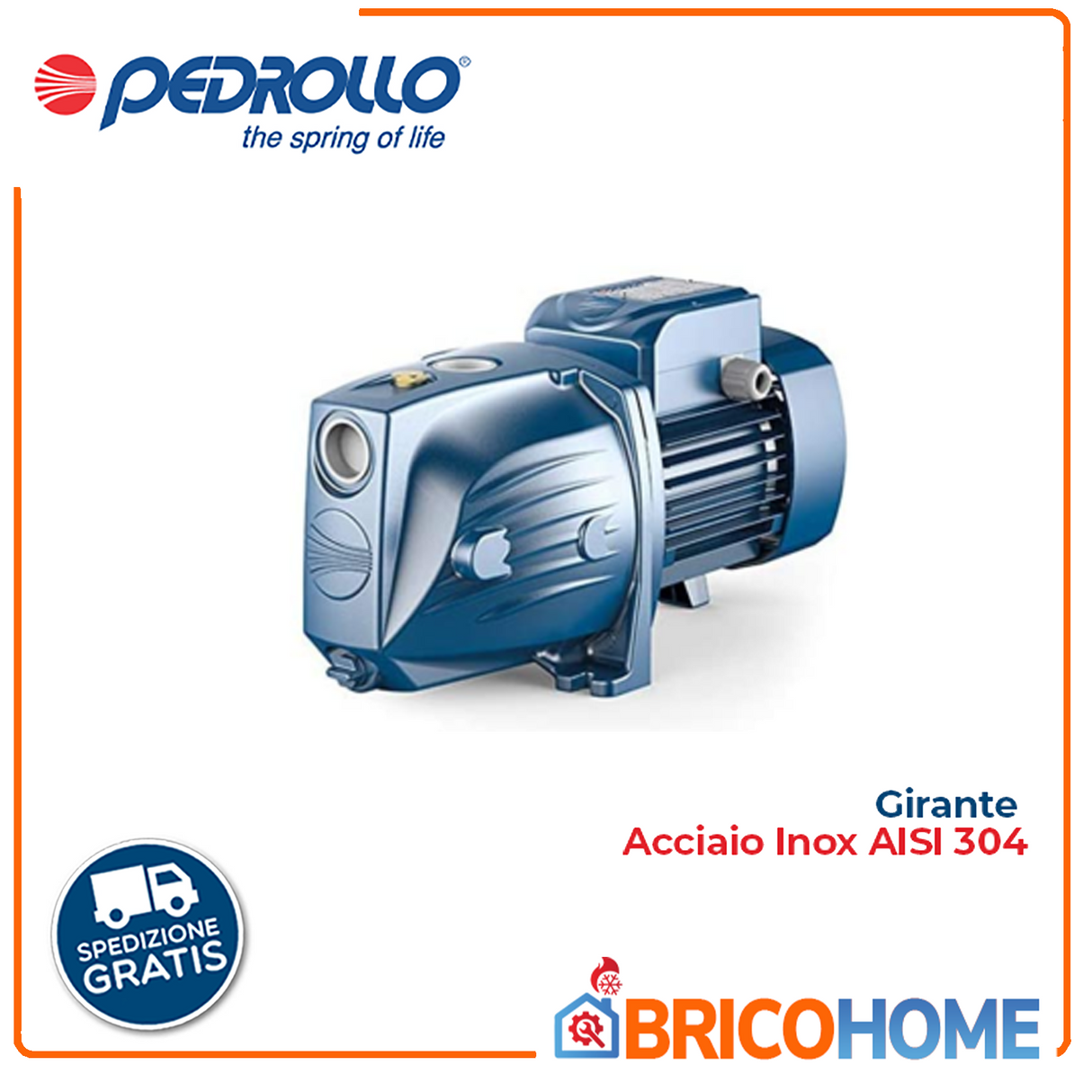 PEDROLLO JSWm 2A selbstansaugende Elektropumpe mit Laufrad aus Edelstahl AISI 304