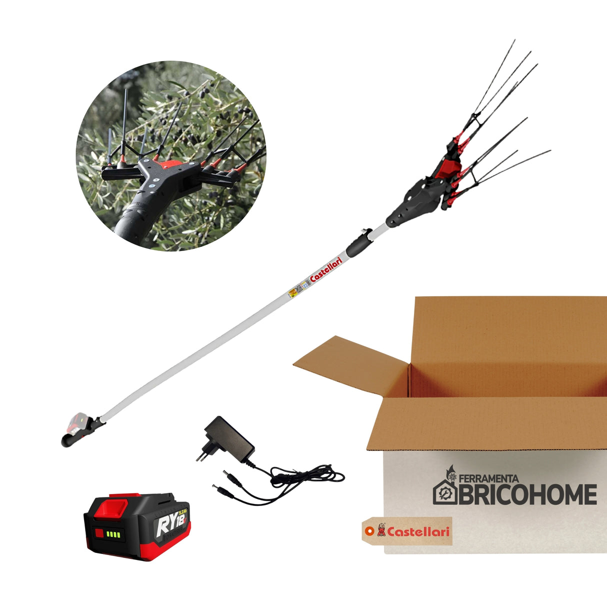 Kit Abbacchiatore Elettrico VERTIGO L 18V con Batteria e Caricabatteria [BUNDLE]