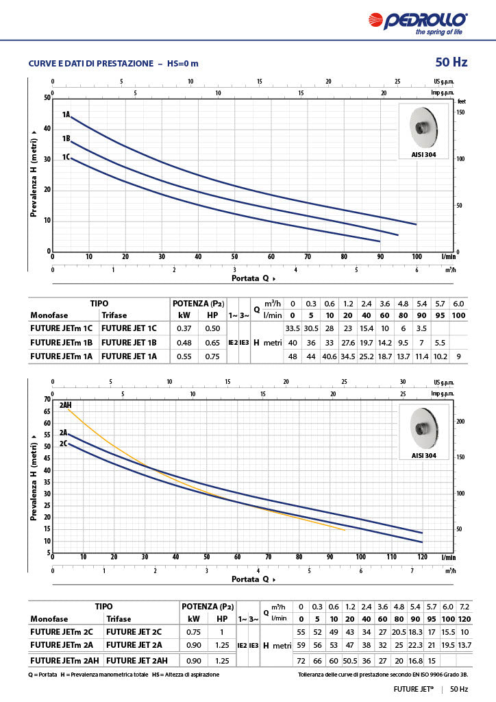 PEDROLLO Elettropompa Autoadescante FUTURE JETm 2A | 1,25 HP | 120 L/min | Autoclave