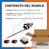 Kit Castellari Tagliasiepi RY20G con 2 Batterie da 18V e Caricabatterie Rapido [BUNDLE]