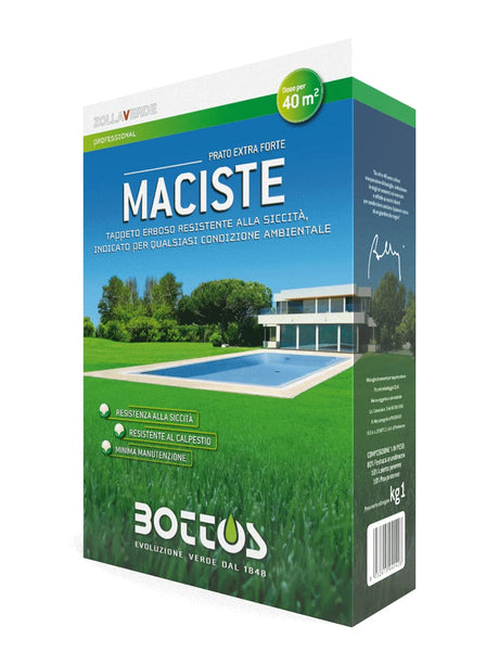 BOTTOS Maciste confezione sementi per prato 1 kg a base di Festuca arundinacea
