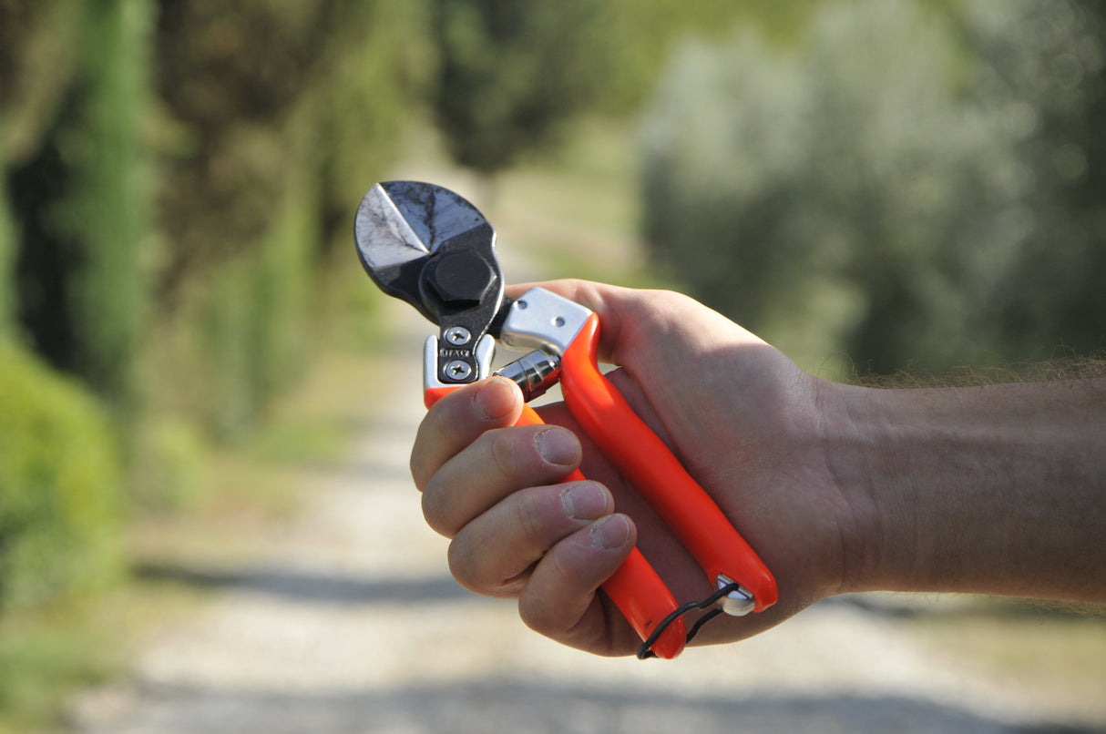 B12 - CASTELLARI double blade professional pruning shears