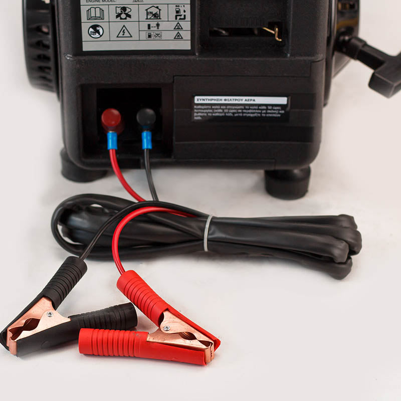 NAKAYAMA Pro Generatore a Benzina Inverter DC 12V 50A per abbacchiatori - GB1310