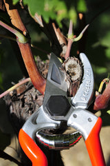 MINI - CASTELLARI professional pruning shears