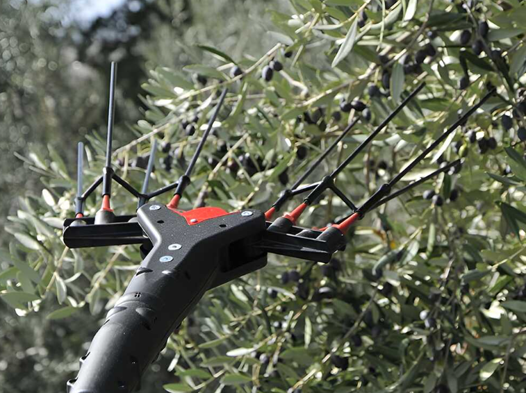 Kit Abbacchiatore Elettrico VERTIGO CARBON L 18V con Batteria e Caricabatteria [BUNDLE]