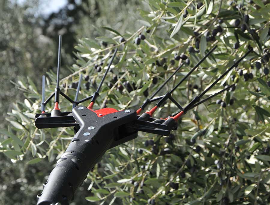 Abbacchiatore Raccogli Olive elettrico Vertigo L 12V ( 2,4 - 3,2 mt ) - Castellari