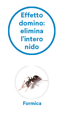 VEBI Mikrogranulat-Insektizid gegen Ameisen und Insekten 1 kg DURACID