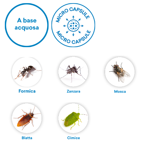 VEBI - Draker 10.2 Insetticida Microincapsulato | Abbattente e Residuale | Zanzare Mosche Blatte Formiche | PMC Reg. Min. 19380
