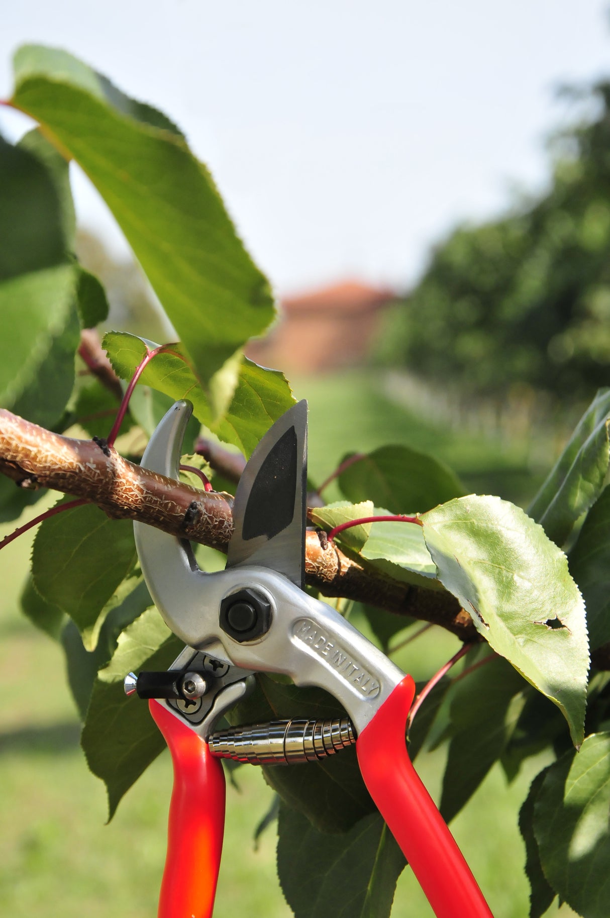 UNIVERSAL-CASTELLARI professional pruning shears
