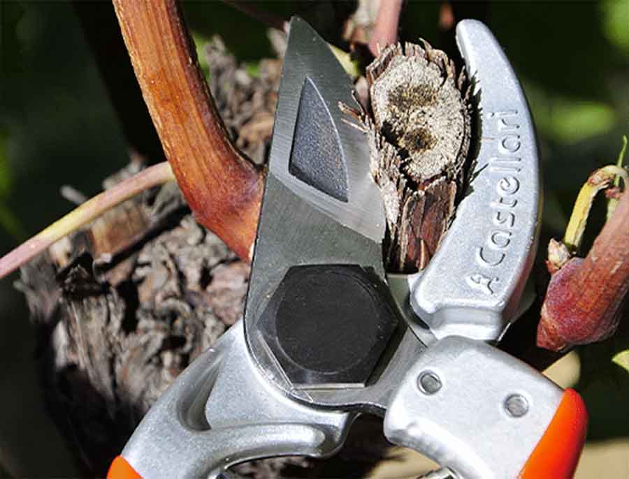 MINI - CASTELLARI professional pruning shears