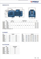 PEDROLLO JSWm 2AX selbstansaugende Elektropumpe – 1,25 PS (1,5 PS) – für Autoklaven