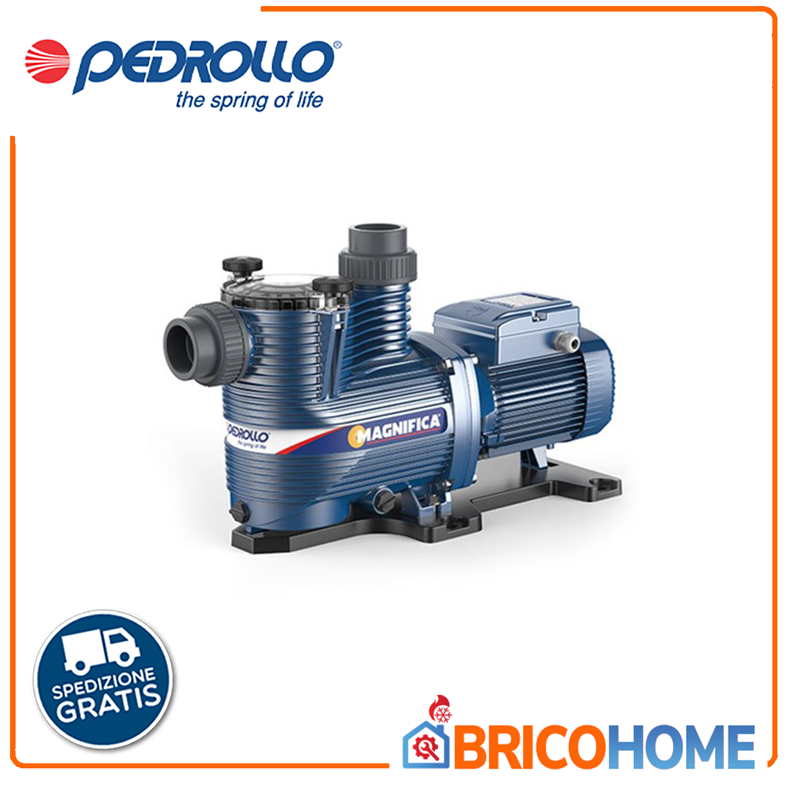 Electric pump for pools MAGNIFICA 1m Pedrollo